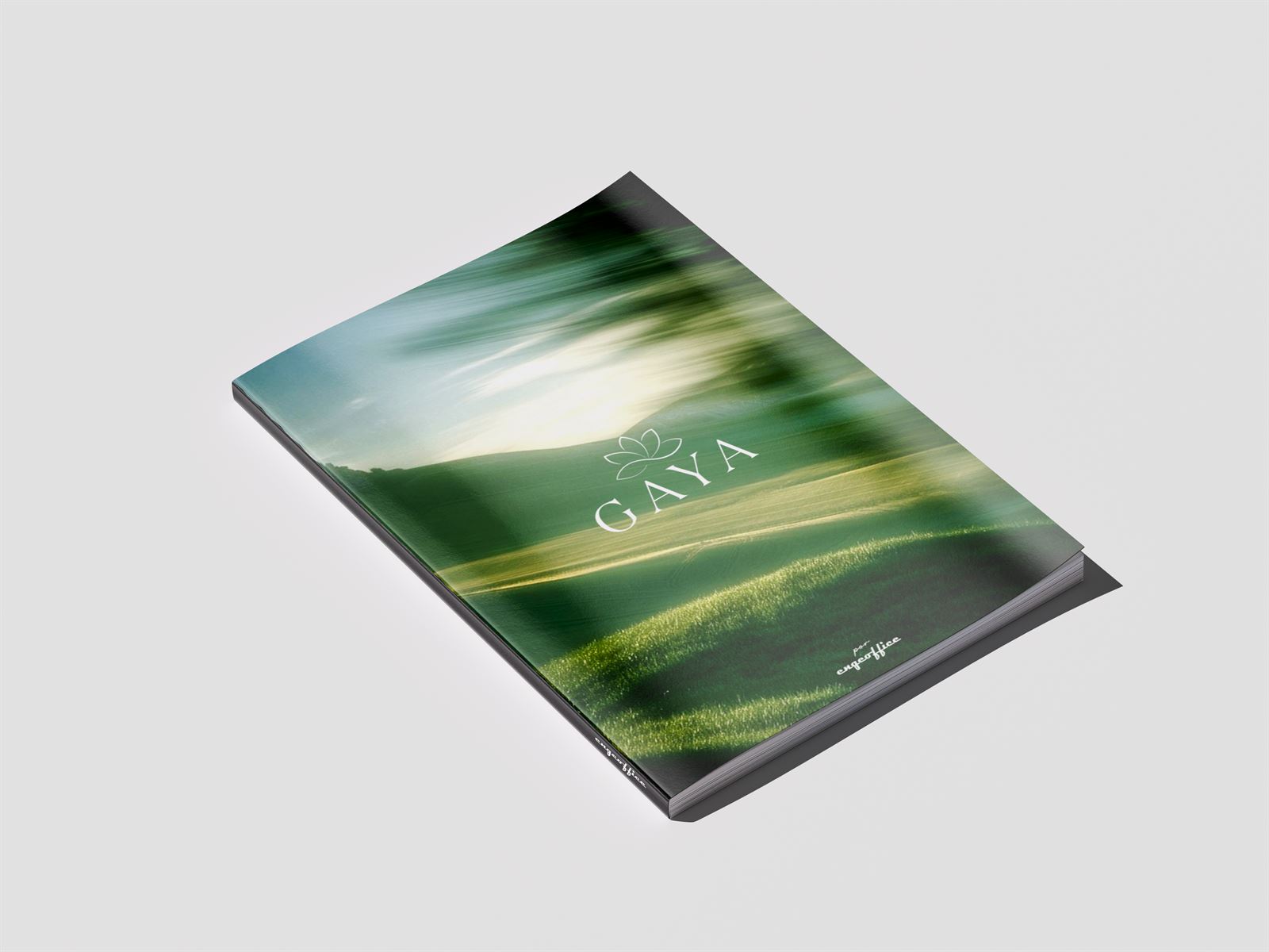 Books Gaya e Meliah folheados — mockups das páginas